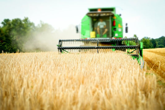 Agriculture
