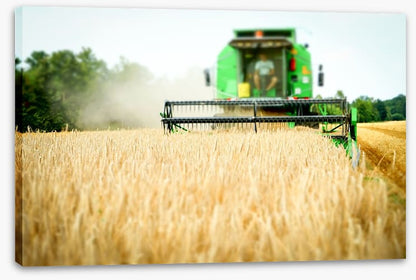 Agriculture