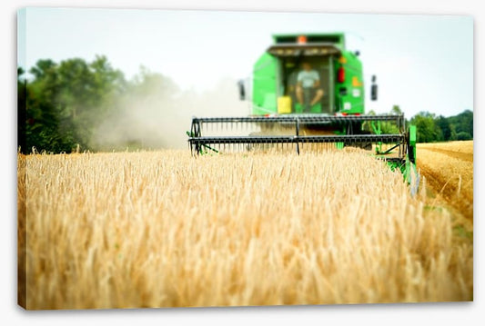 Agriculture