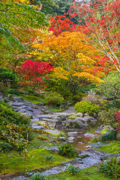 Streaming into fall