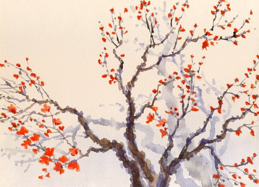 Red budding tree