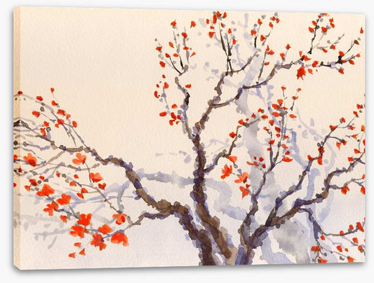 Red budding tree