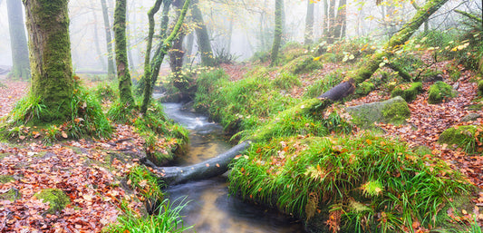 Bridged by nature