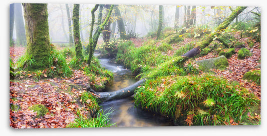 Bridged by nature