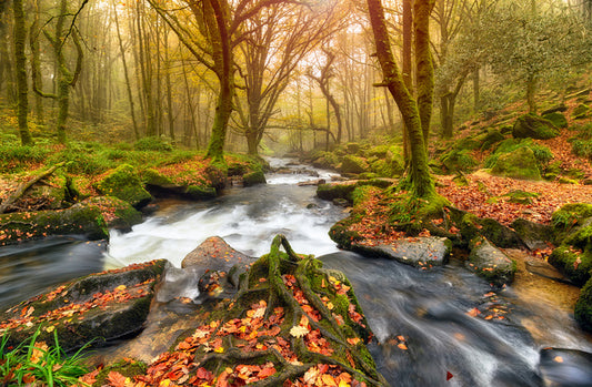 Rivers