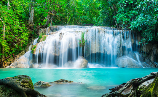 Falls in the forest