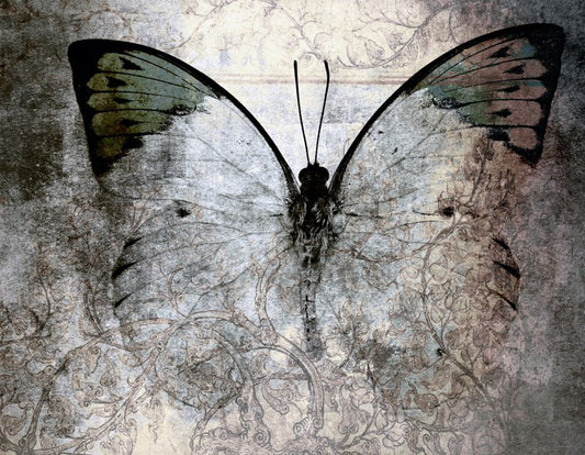 Vintage monarch butterfly