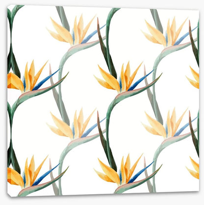 Birds of paradise