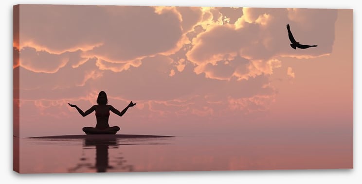 Serenity silhouettes