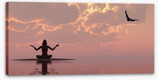 Serenity silhouettes