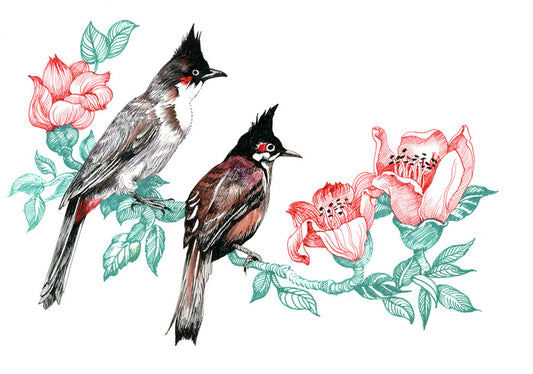 Birds