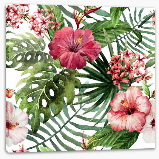 Pink hibiscus leaves