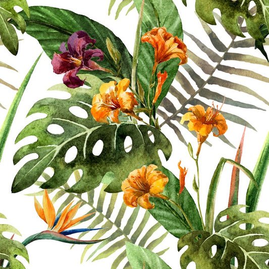 Tropical orchid leaves