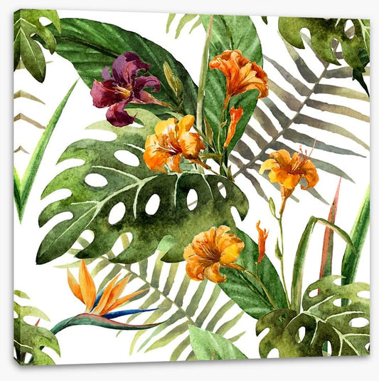 Tropical orchid leaves