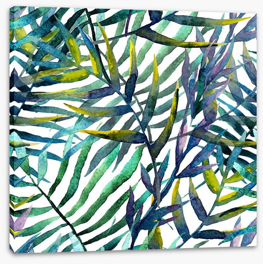 Tropical fronds