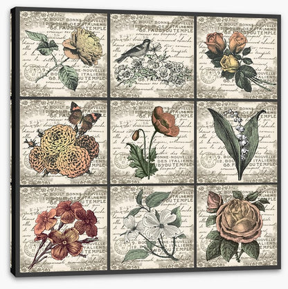 Fleurs antiques