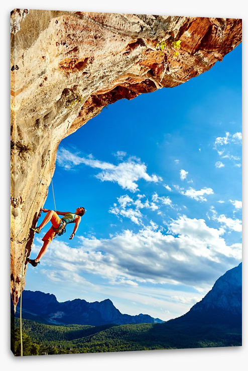 Perseverance