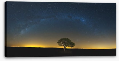 Lone tree under the Milky Way