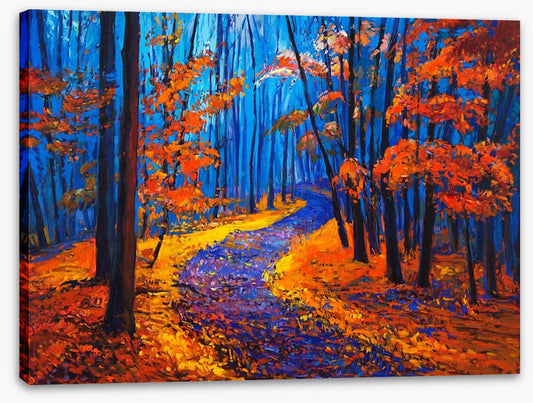 Autumn forest path