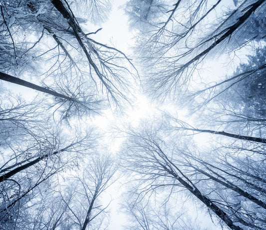 Canopy clouds