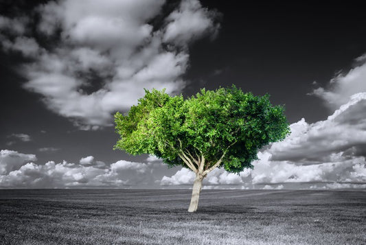 The green tree