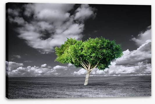 The green tree