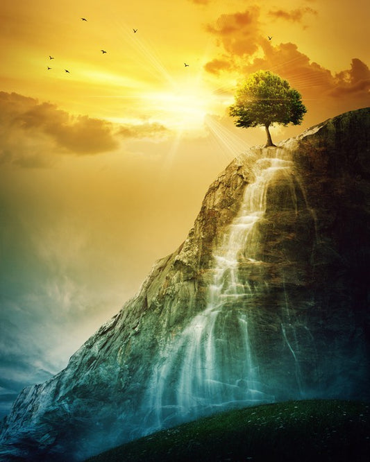 Tree of the falls