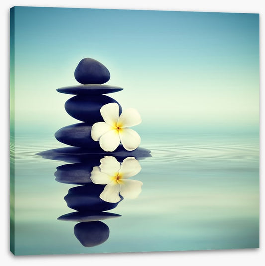 Petals and pebbles