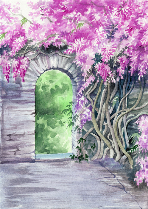 The wisteria arch