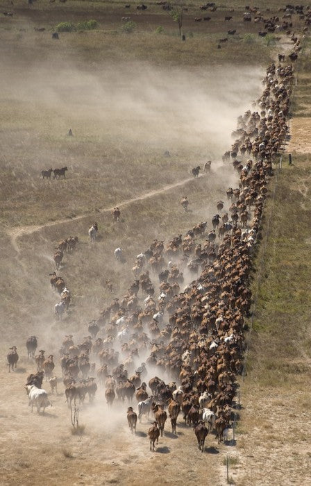 Agriculture