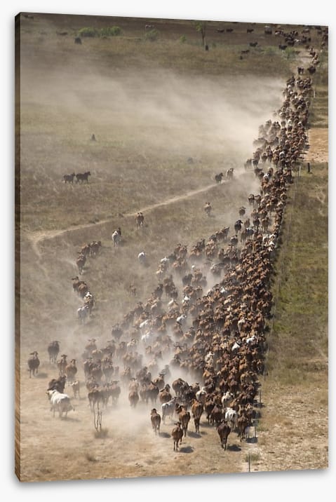 Agriculture