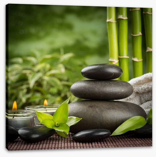 Ayurveda grove