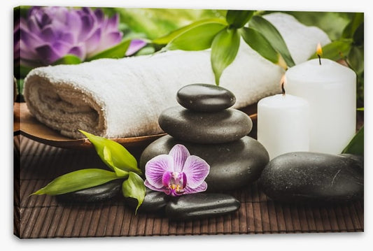 Zen retreat