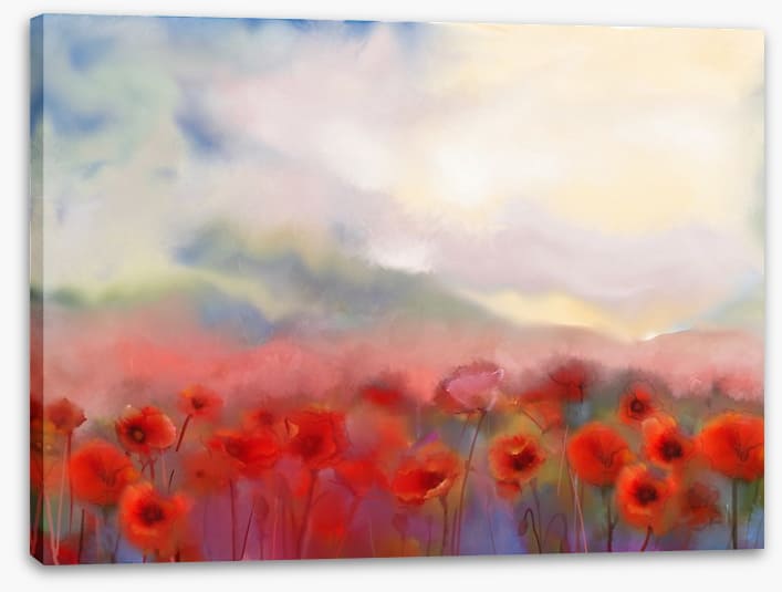 Poppies in the mist