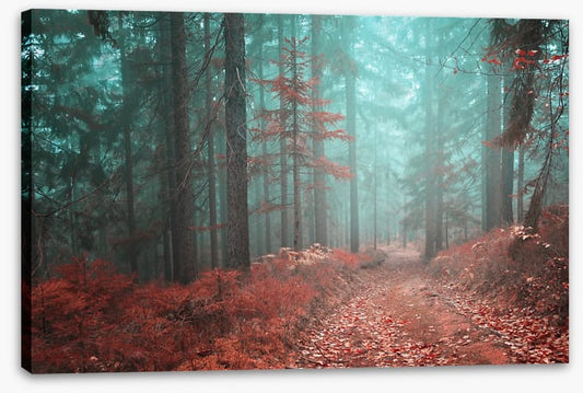 Fairytale fall