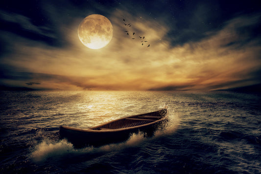 Follow the moon