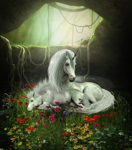 Fantasy