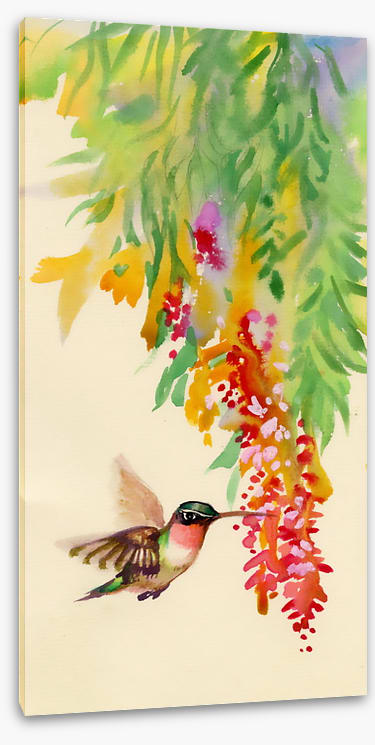 Hummingbird flutter