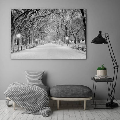 Snowy Central Park