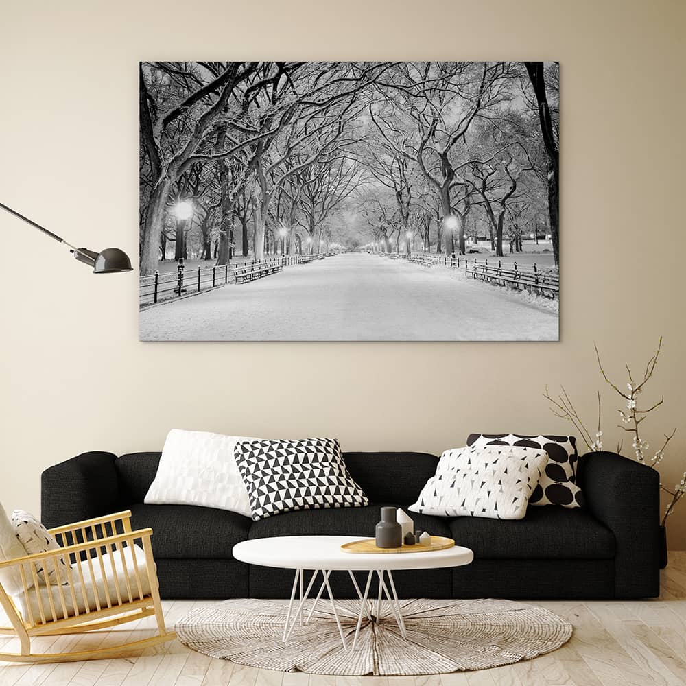 Snowy Central Park