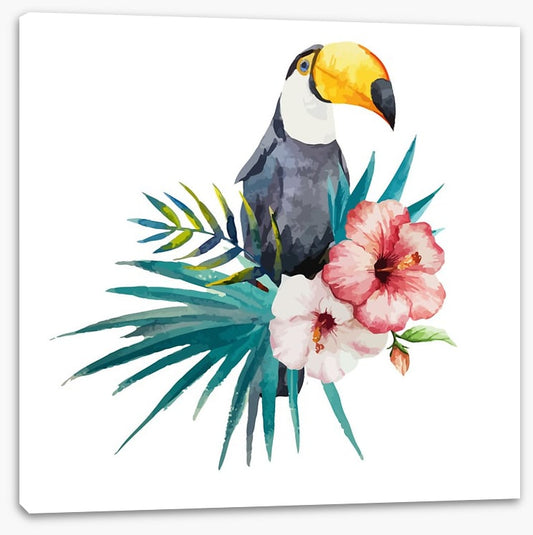 Toucan grove