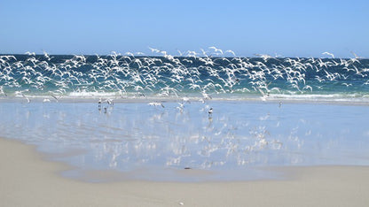 Coast at Coral Bay