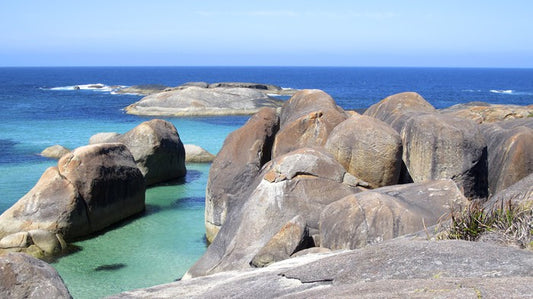 Alone at Elephant Cove