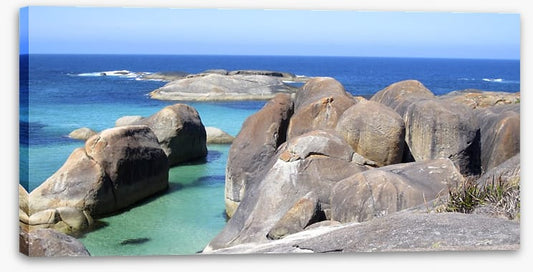Alone at Elephant Cove