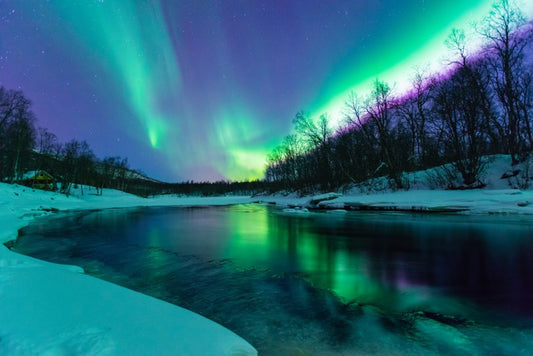 Aurora borealis winter lights