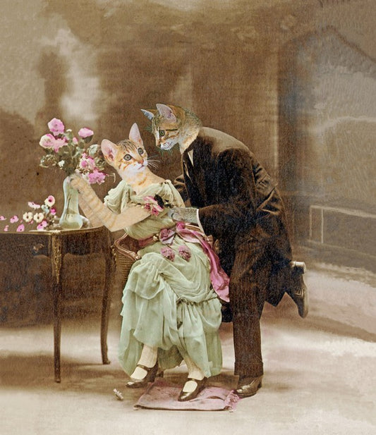 Declaration of love