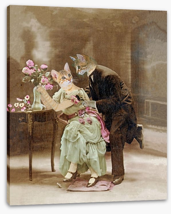Declaration of love