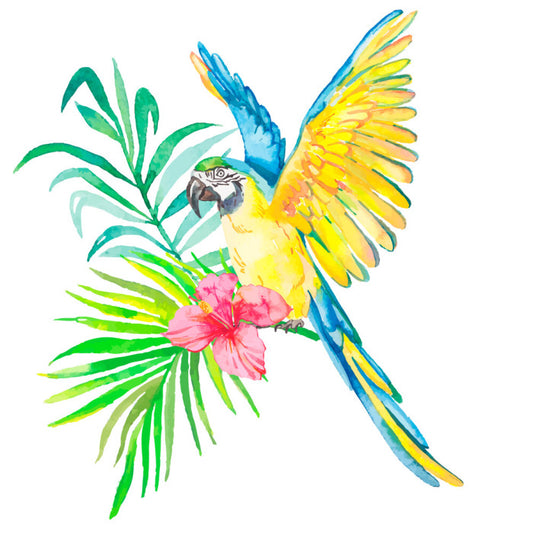 Birds
