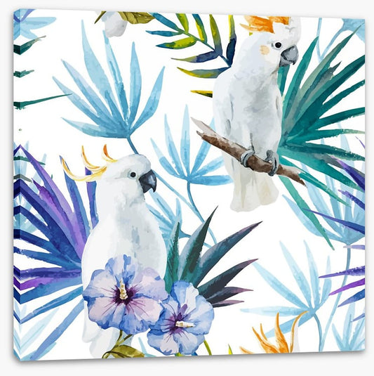 Tropical cockatoo