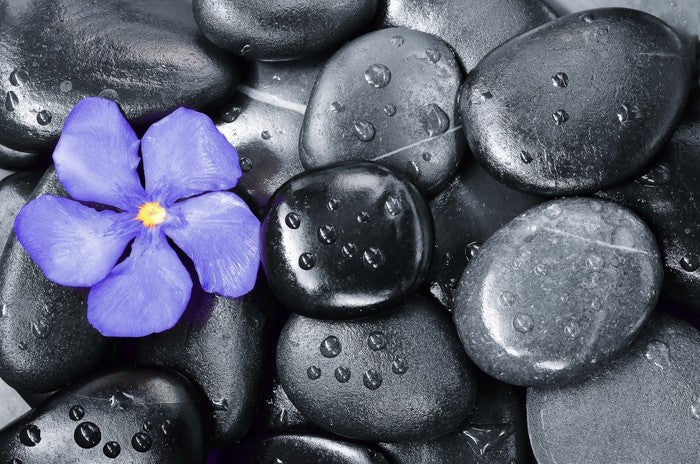 Violet oleander